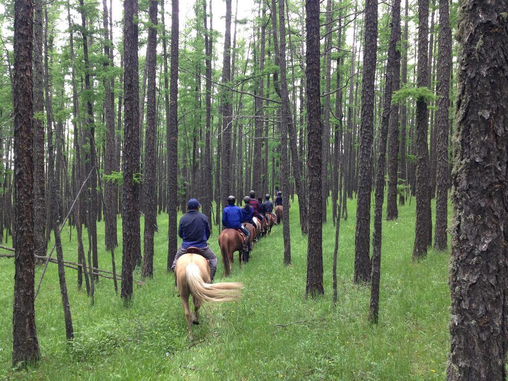 Nomad Horse Camp Guest House Nalayh ภายนอก รูปภาพ